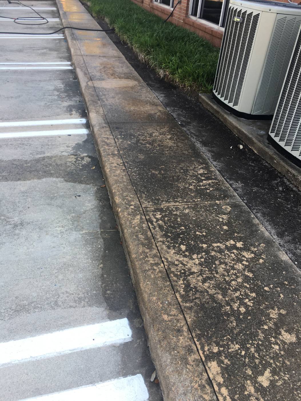 Sidewalks before cleaning